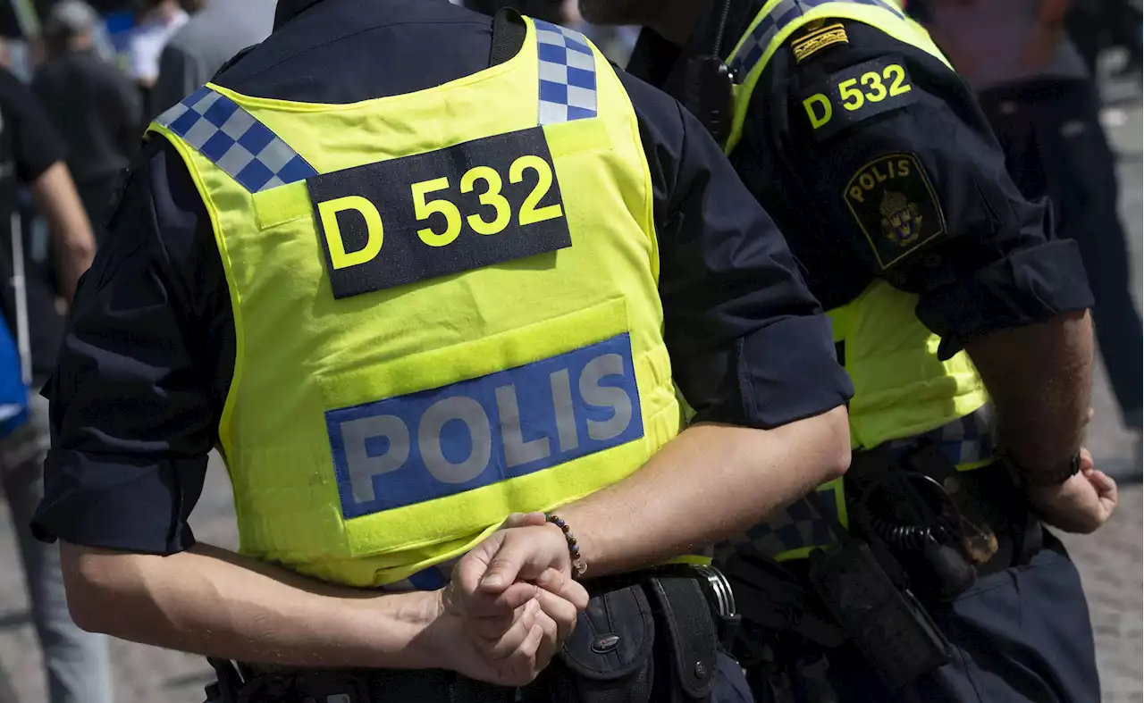 Falska poliser åtalas för 50 brott