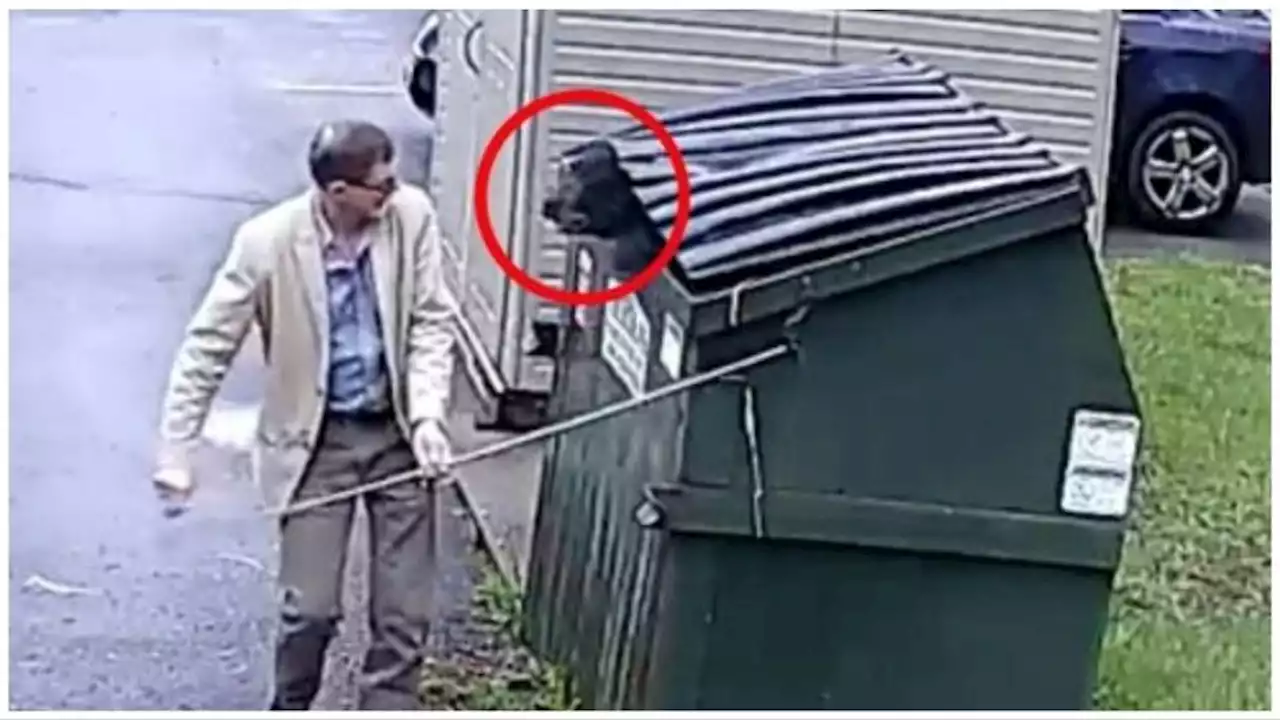 Principal Runs Like Hell After Coming Face-To-Face With A Bear Hidden In School Dumpster