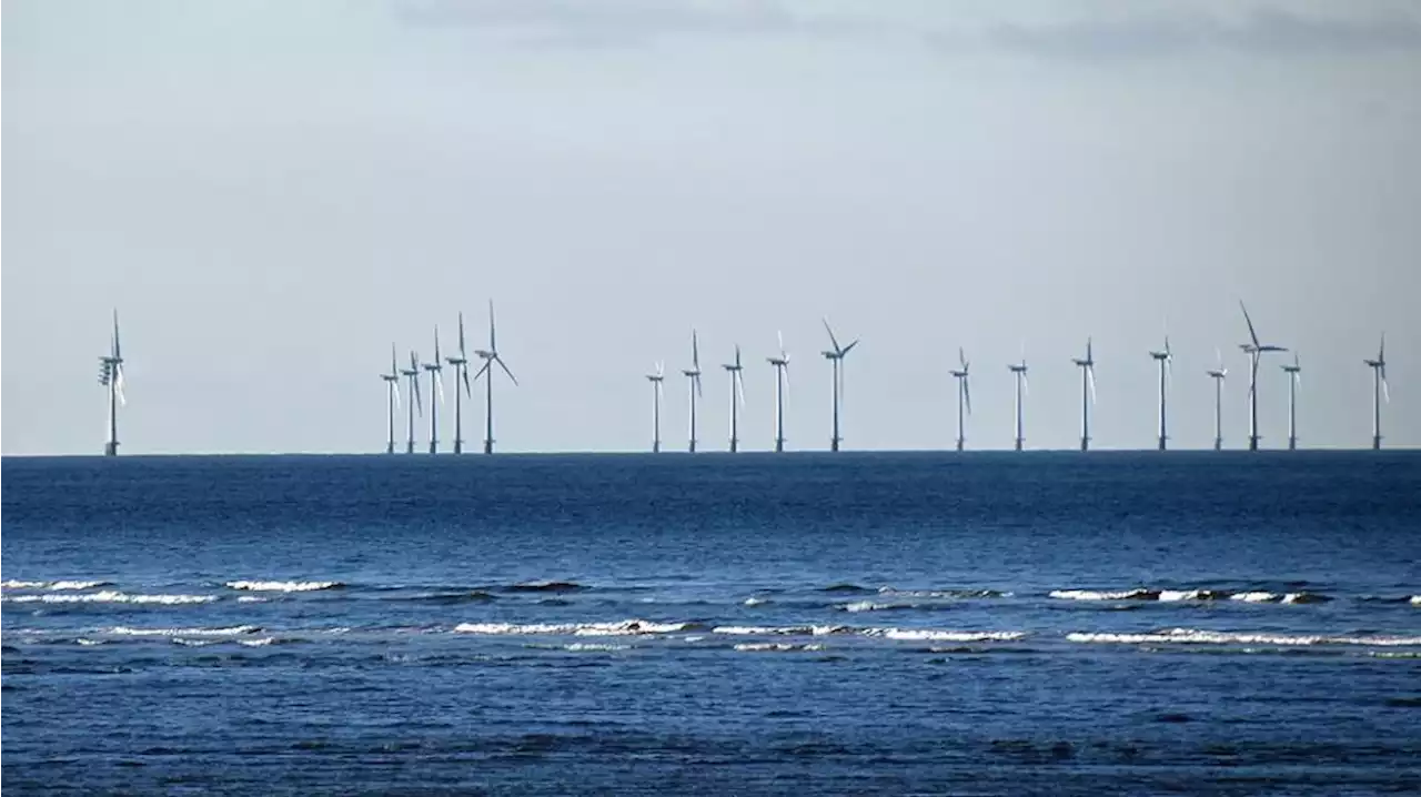 Havvindmøller styrker efter al sandsynlighed biodiversiteten på havbunden | Ingeniøren