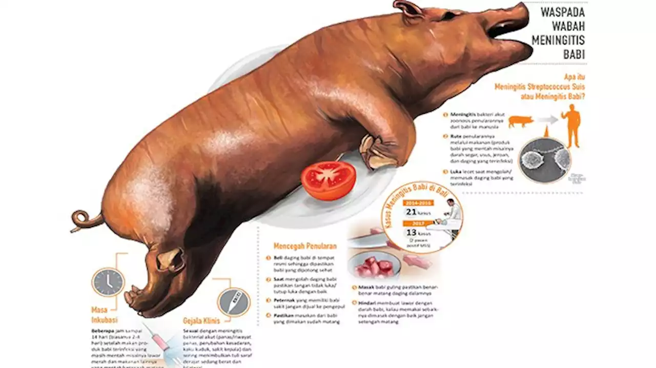 Kasus Meningitis Streptococcus Suis Nihil, Diskes Tabanan Ingatkan Teliti Makan Olahan Daging Babi
