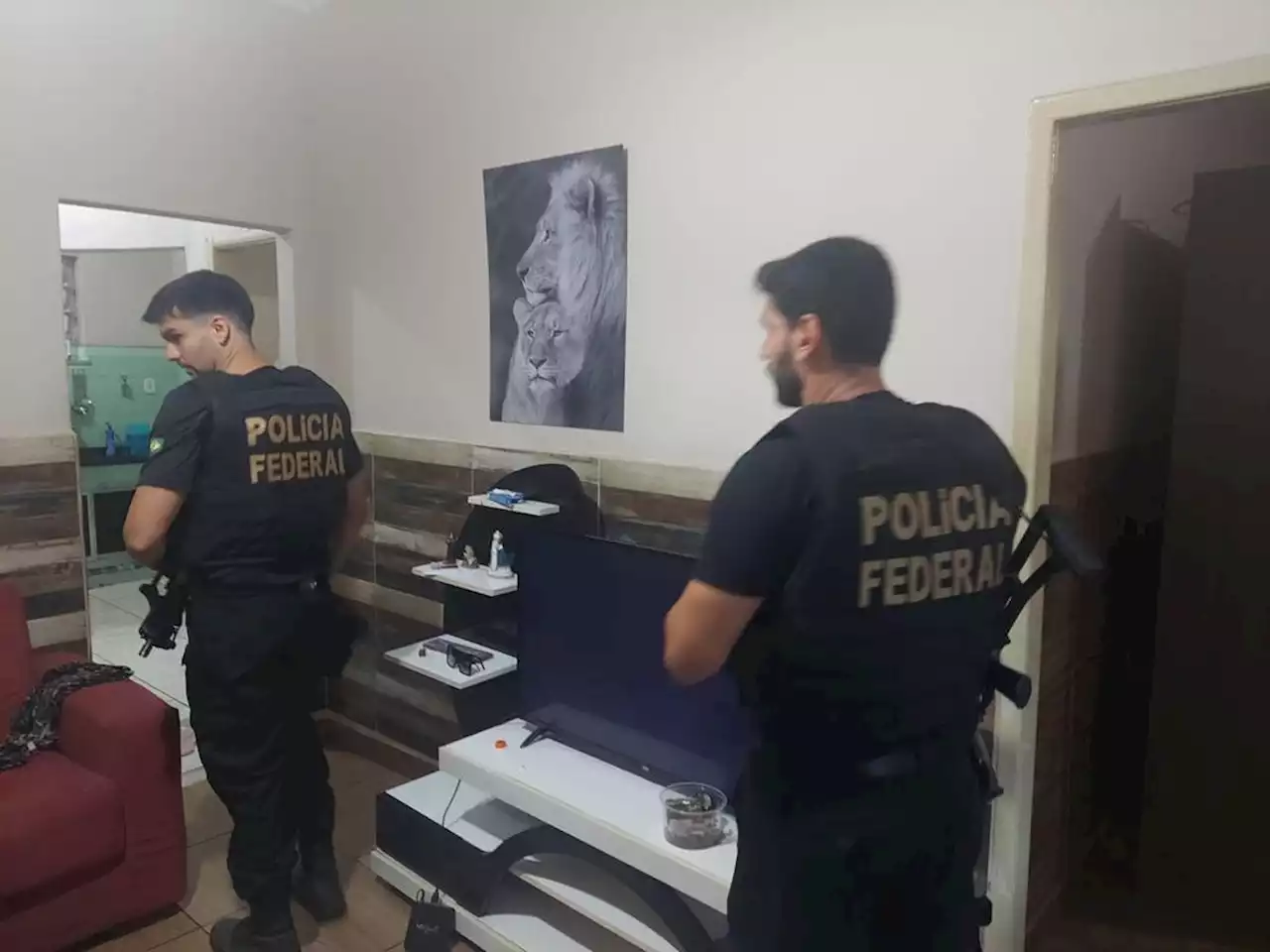 Homem suspeito de venda e compartilhamento de arquivos com pornografia infantil é preso no Rio