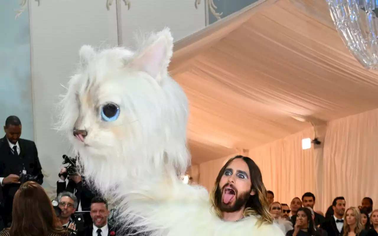 Reação de cachorro à fantasia de Jared Leto para o Met Gala viraliza na web | Diversão | O Dia