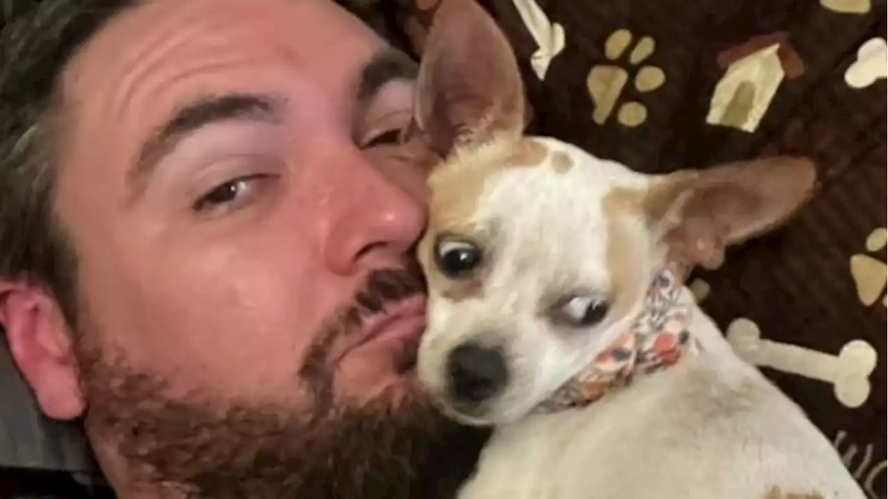 Man talks importance of microchipping pets after losing dog during car wreck