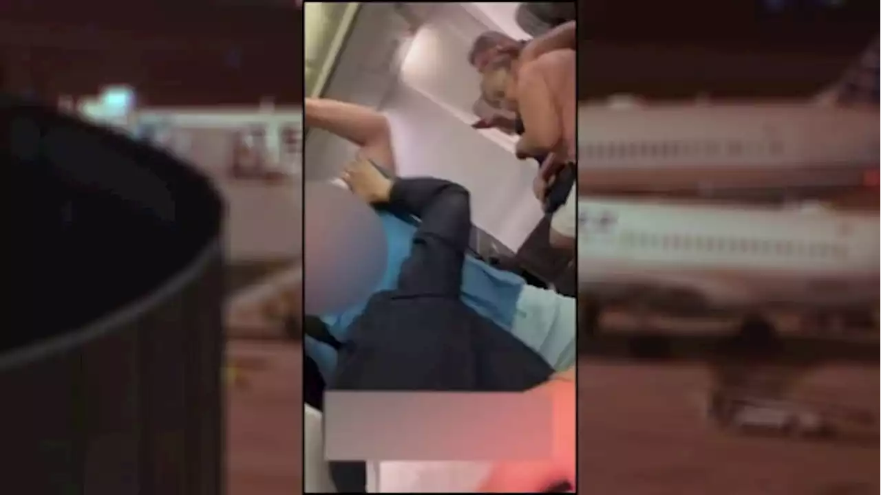 WATCH: Texas man banned from United Airlines after punching employee