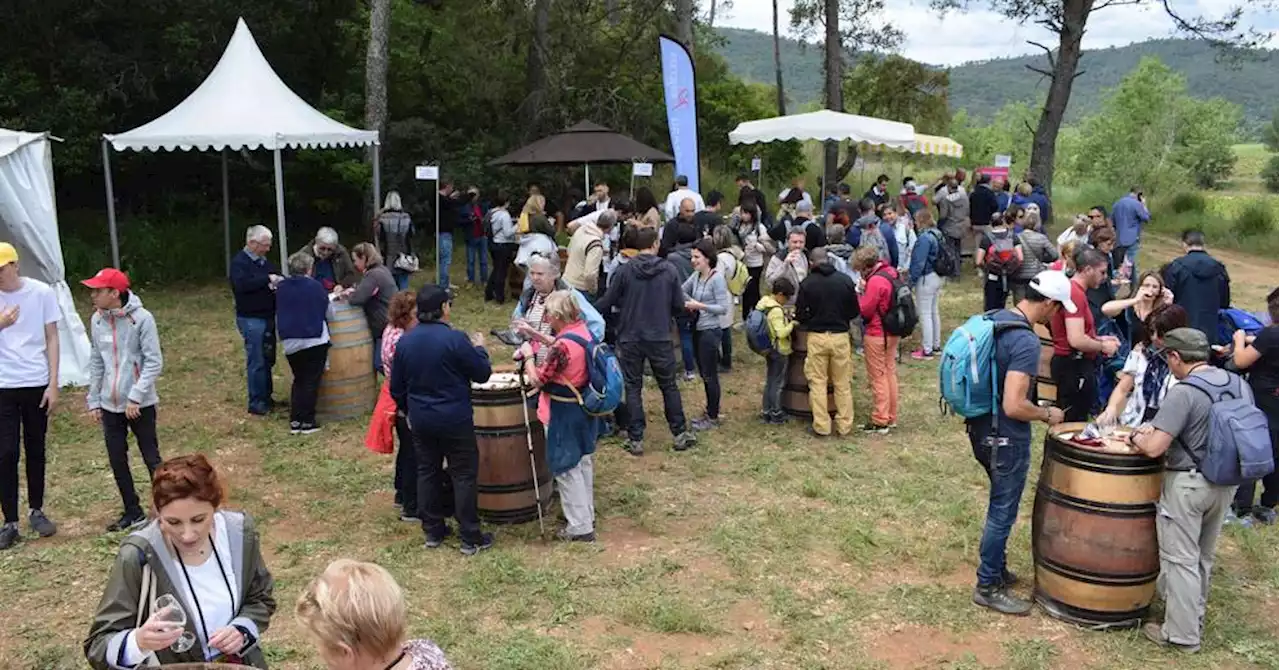 Pierrefeu-du-Var : retour des balades gourmandes et vigneronnes