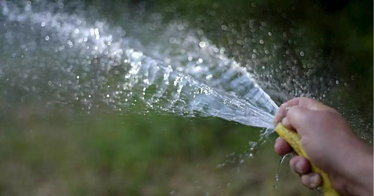 Sécheresse : cinq questions sur les restrictions d'eau en Provence