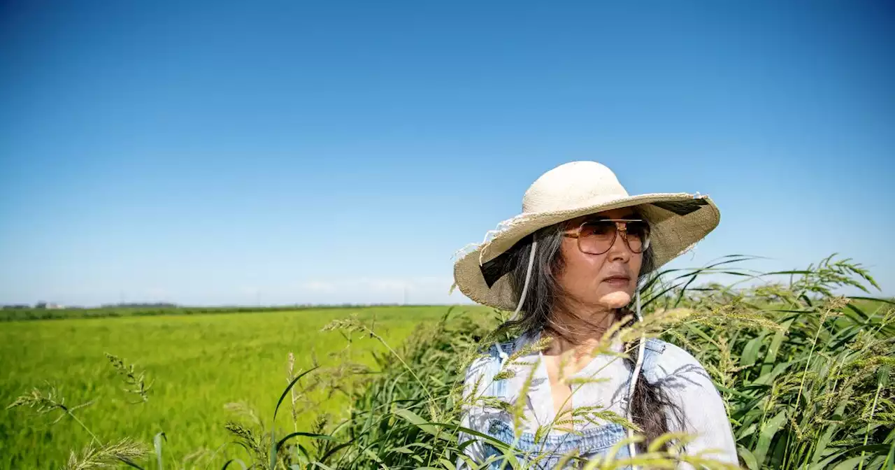 L.A.’s sushi revolution was fueled by this secret ingredient from the Central Valley