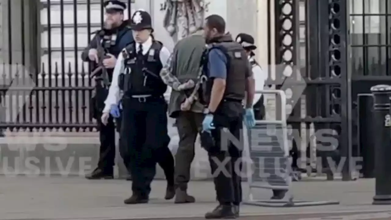 Man arrested 'for throwing shotgun cartridges into Buckingham Palace grounds' asked to 'speak to a soldier'