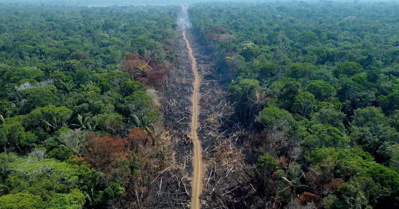 Climat : une nouvelle mise en garde face à l’urgence à agir