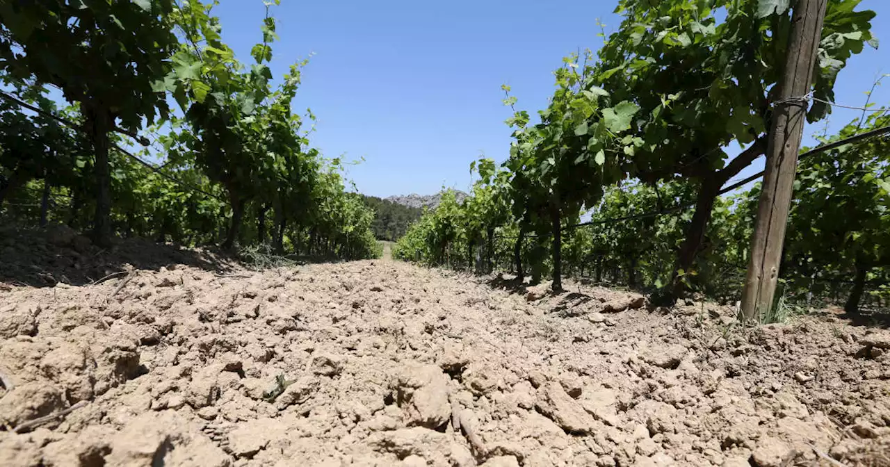 Déjà 20 départements touchés par des restrictions d’eau cette année, contre huit en 2022