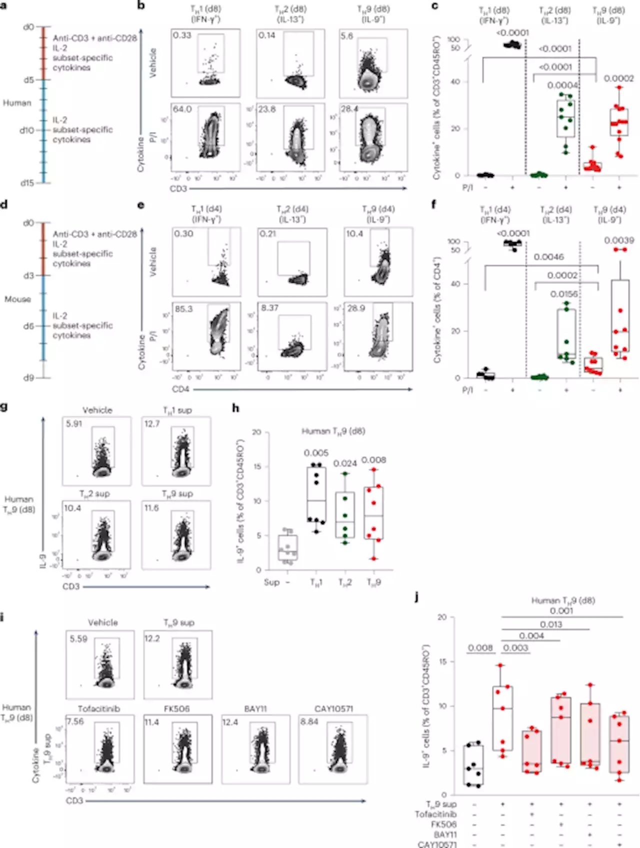 Dynamic chromatin accessibility licenses STAT5- and STAT6-dependent innate-like function of TH9 cells to promote allergic inflammation - Nature Immunology