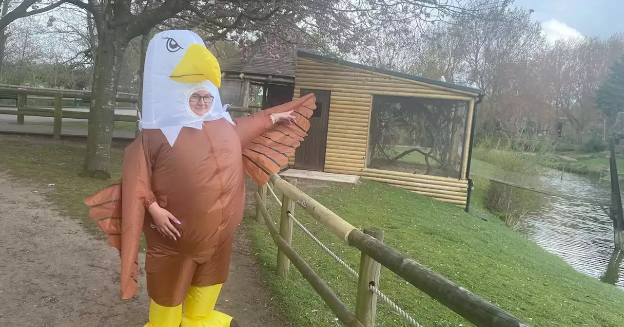 Blackpool Zoo 'seagull scarer' job attracts 250 applicants from around the world