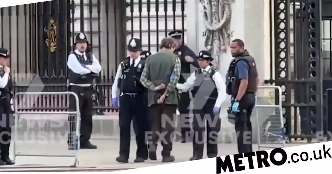 Moment man is arrested after ‘throwing shotgun cartridges into palace grounds'