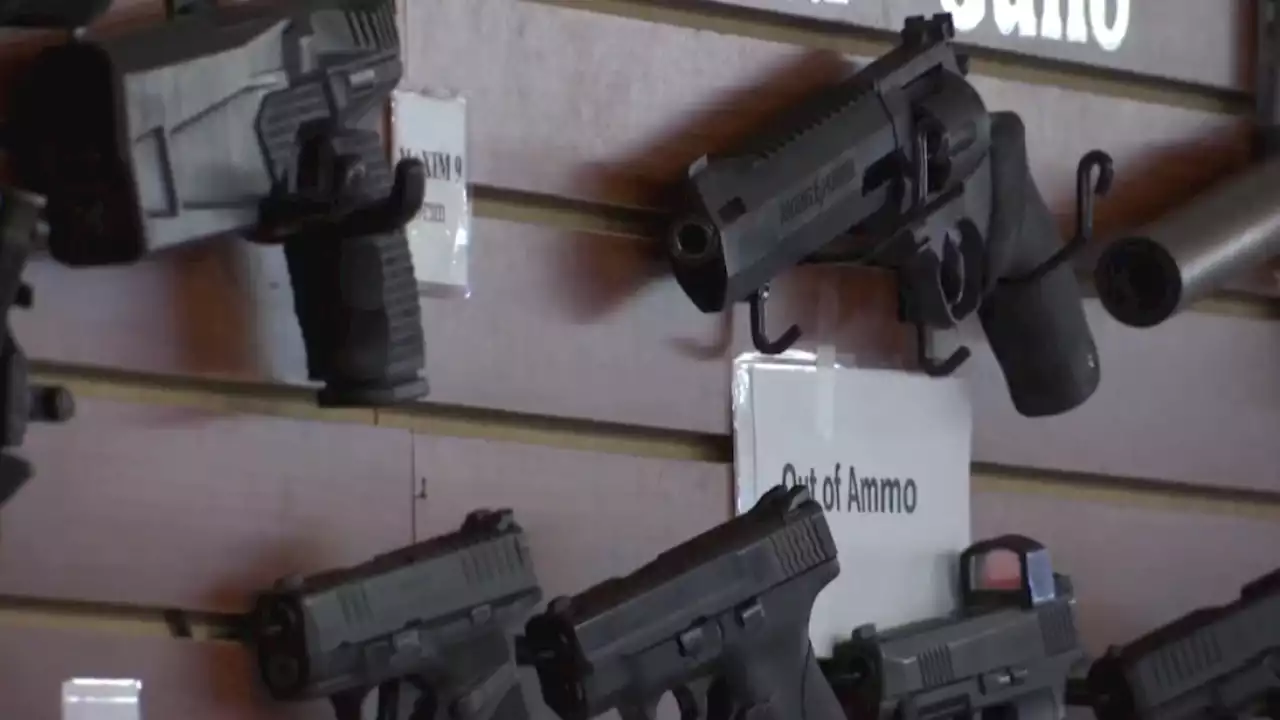 San Diego Gun Advocates Sue, Challenge California Waiting Period Law for Gun Purchases