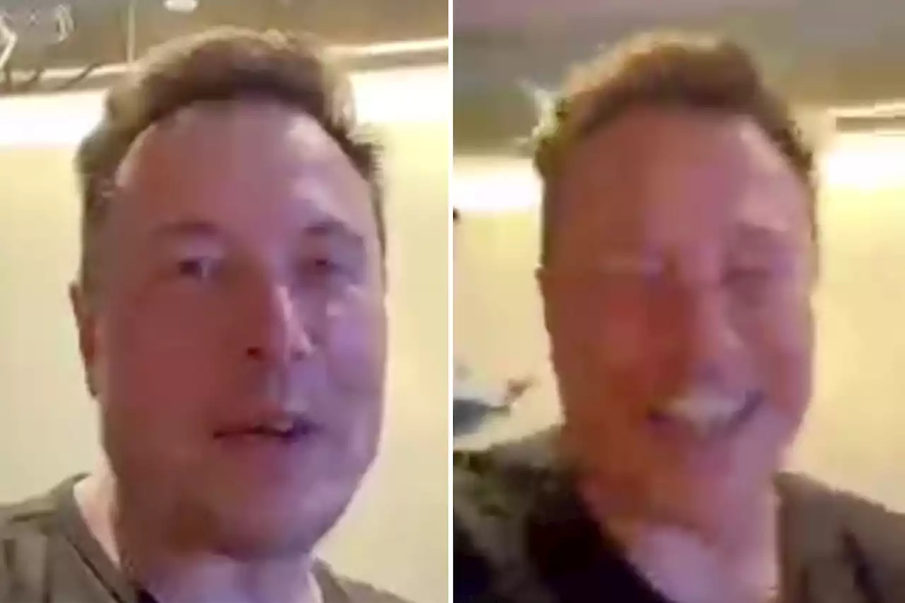 Elon Musk roasted over low-res Twitter video: ‘You spent $45 billion on this app’