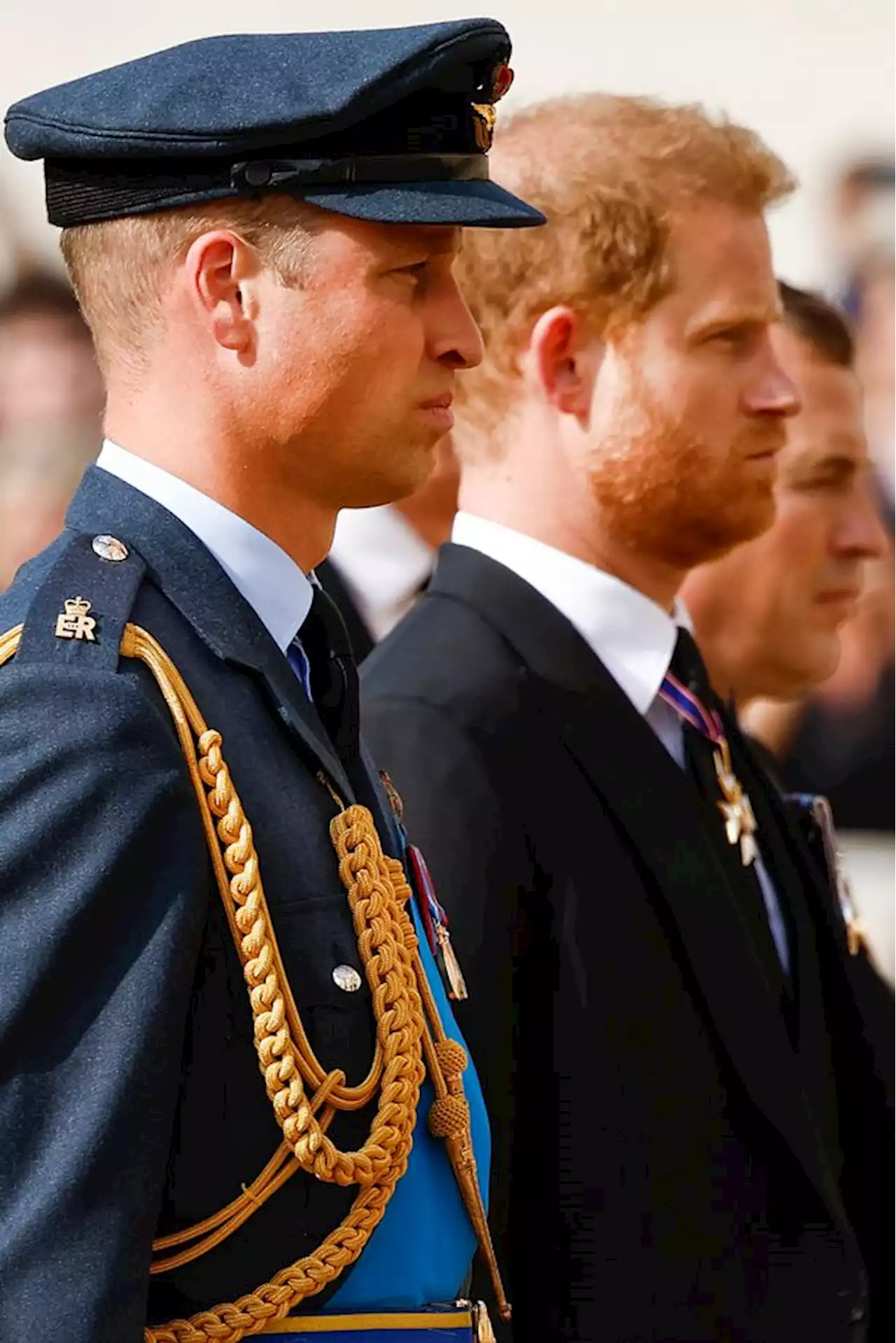 Harry and William had 'minimal contact' since Queen's funeral, says Omid Scobie