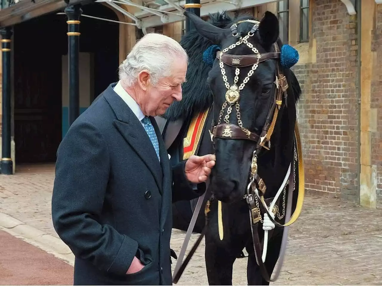 How an Ottawa horse named Noble became a gift for King Charles