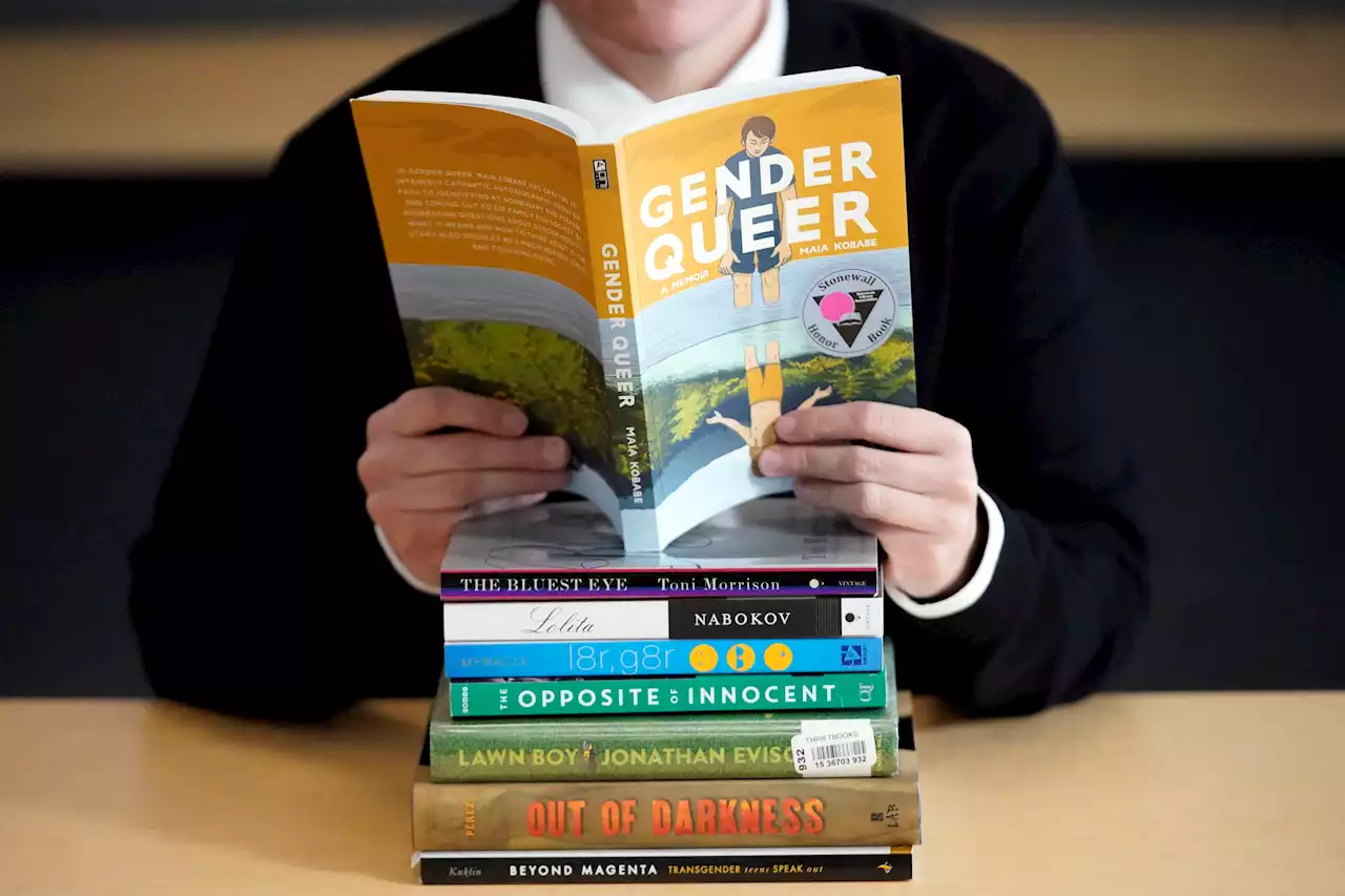 Florida lawmakers restrict pronouns and tackle book objections in sweeping education bill