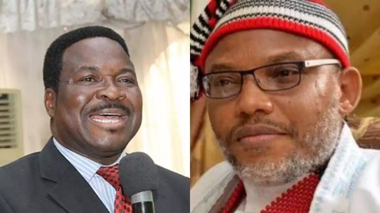 Nnamdi Kanu Didn’t Jump Bail As Claimed By Buhari Government, He Escaped To Avoid Being Killed —Ozhekome | Sahara Reporters