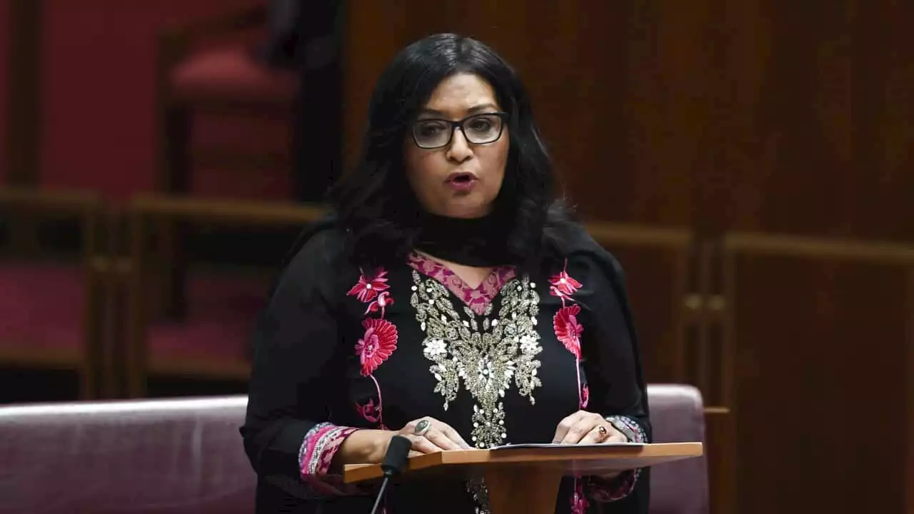 Mehreen Faruqi sues Pauline Hanson over 'piss off back to Pakistan' tweet