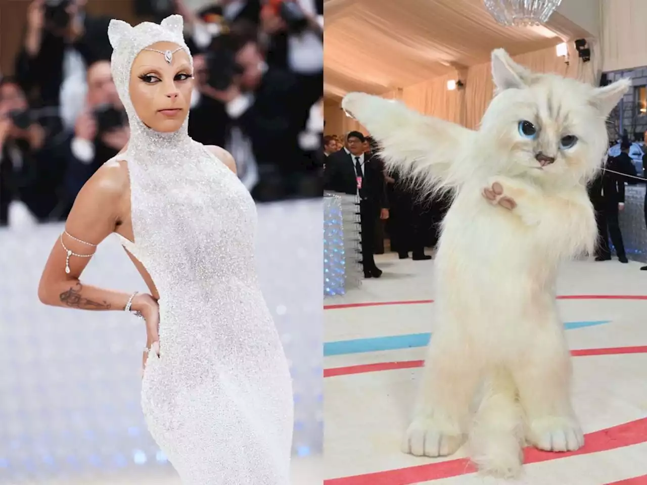 Here’s Why So Many Celebrities Dressed Up Like a Cat for the Met Gala