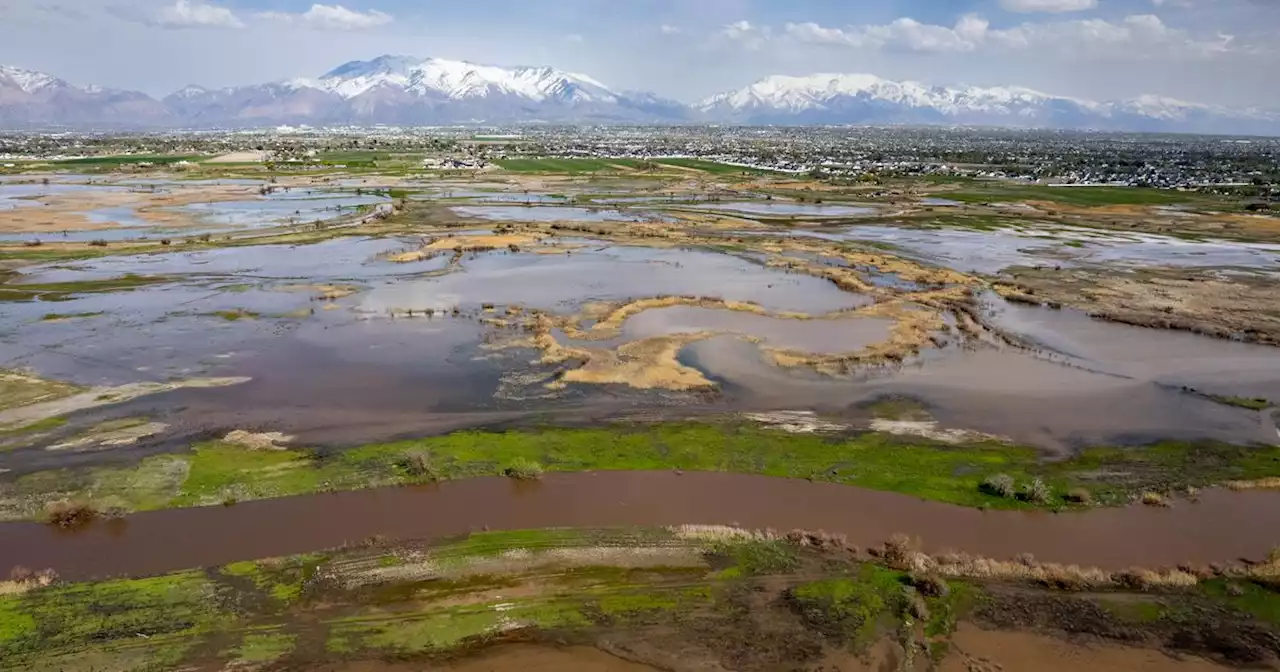 Utah flooding updates: Woman swept away by Weber River was walking dogs; crews work to clear Little Cottonwood Canyon mudslide