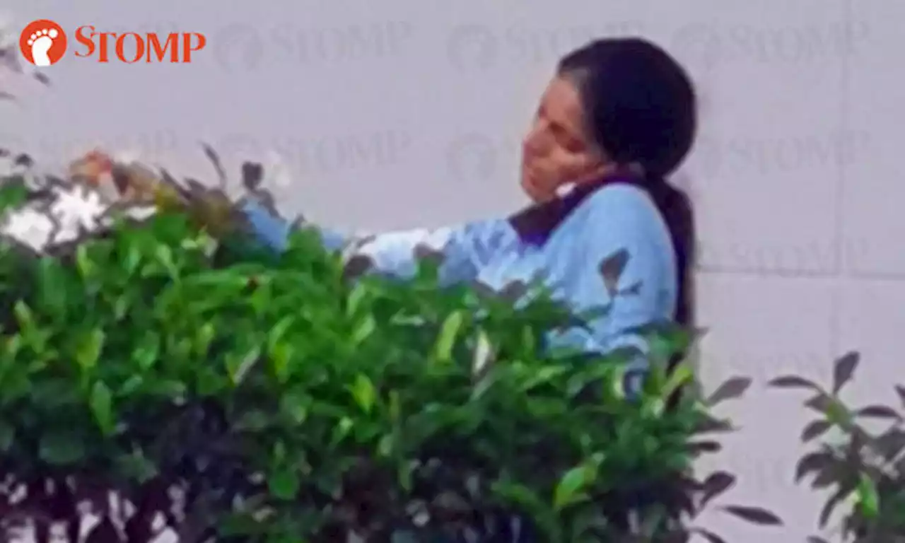 Passer-by in 'disbeleaf' over woman plucking roadside plants outside Woodlands condo