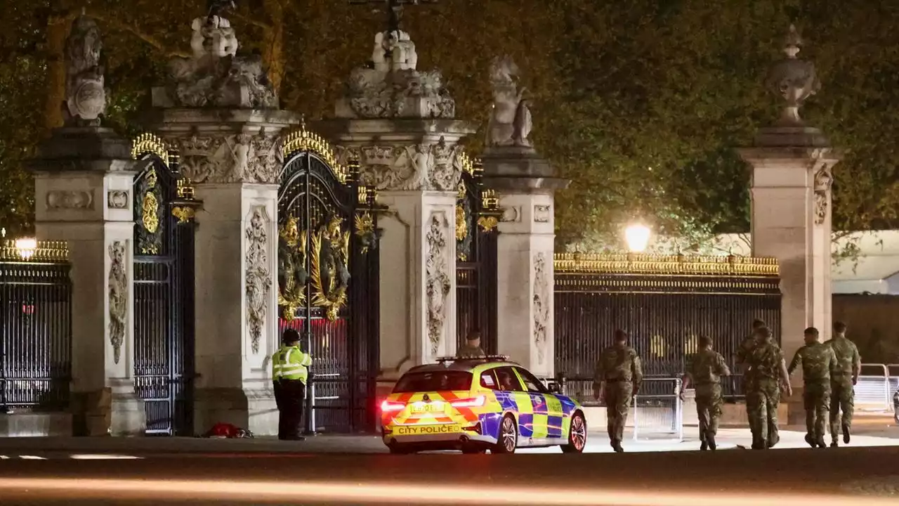 Mann am Buckingham-Palast festgenommen - Verdächtige Tasche gesprengt