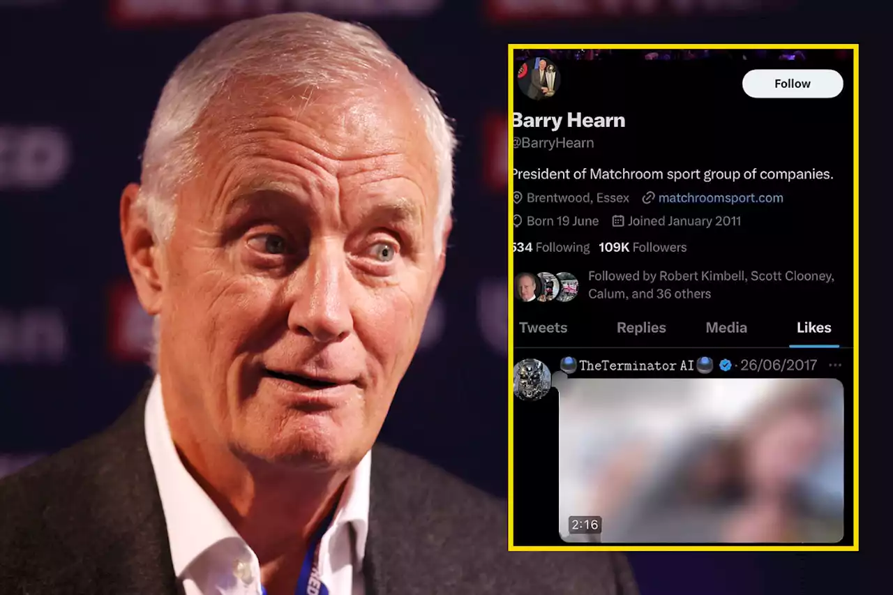 Snooker chief Barry Hearn 'accidentally' likes explicit porn post on Twitter