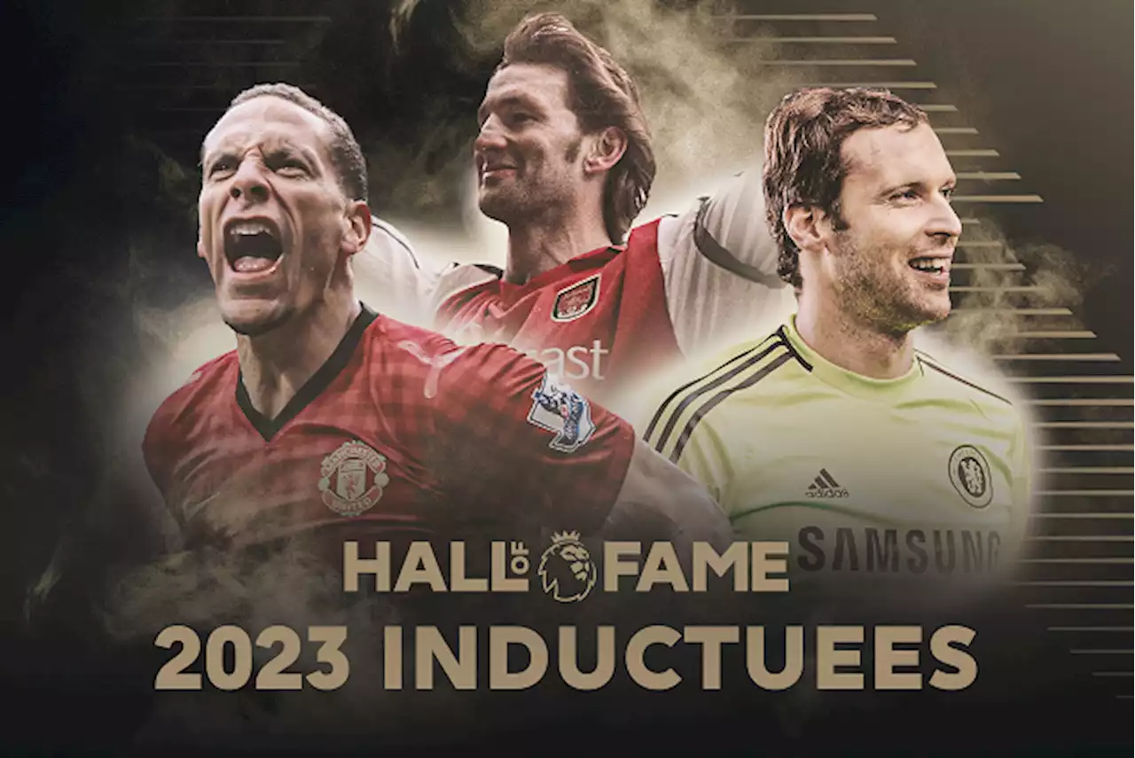 Ferdinand, Cech, Tony Adams are latest inductees into EPL Hall of Fame | TheCable