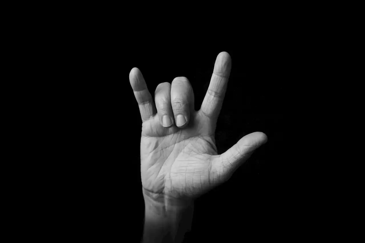 National Assembly passes bill to recognise sign language as SA’s 12th official language | The Citizen