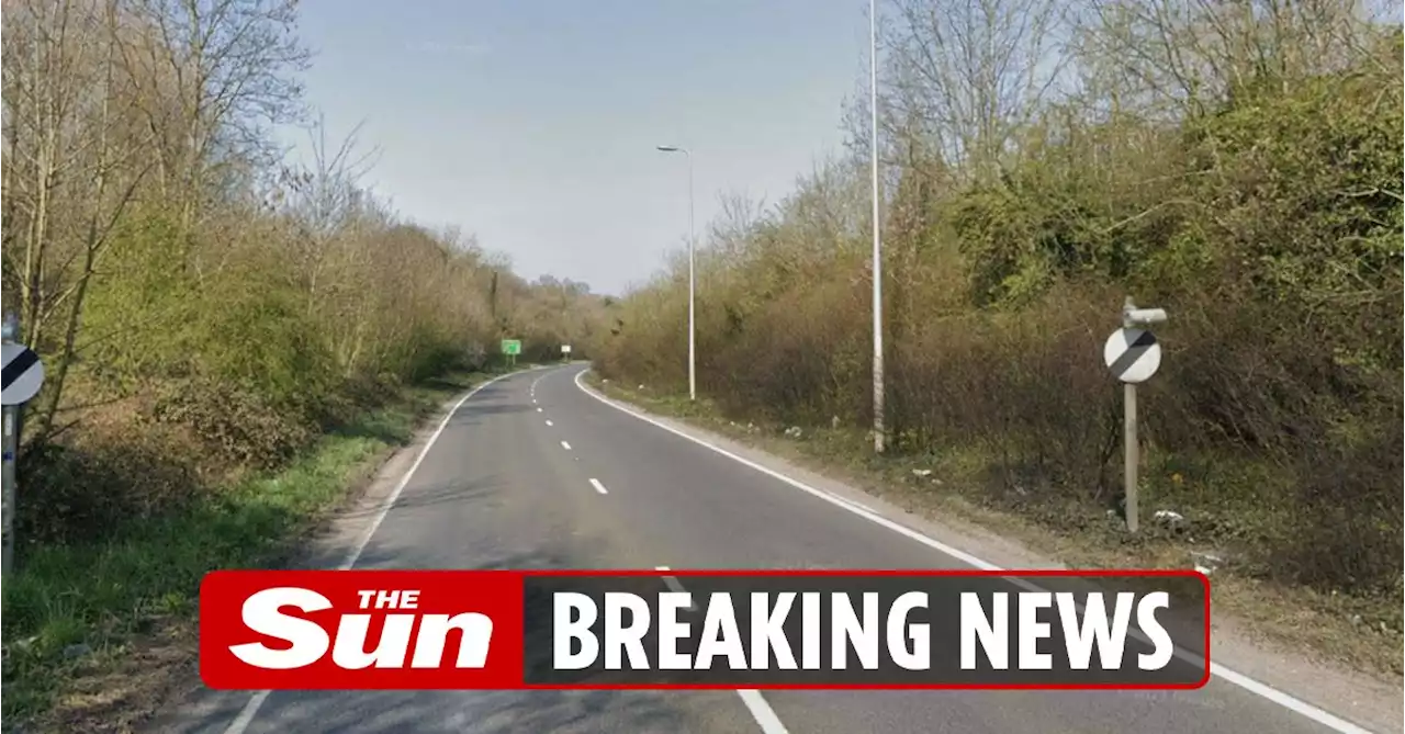 British Army soldier, 24, killed after being hit by lorry as he walked home