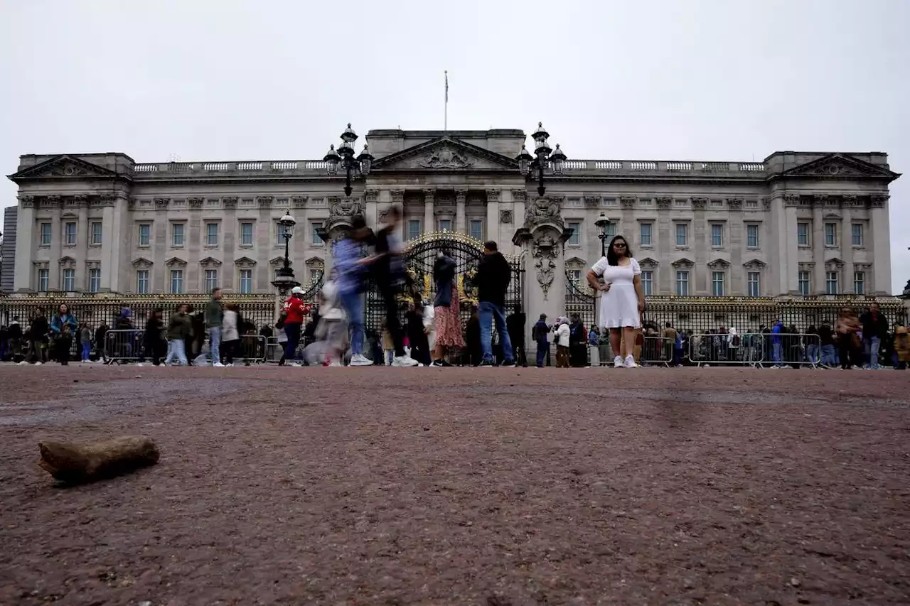 Man arrested outside Buckingham Palace with suspected weapon