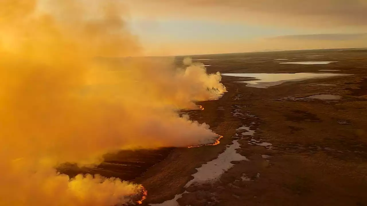 Island fire on 'sensitive' Great Barrier Reef marine plain deliberately lit, rangers say