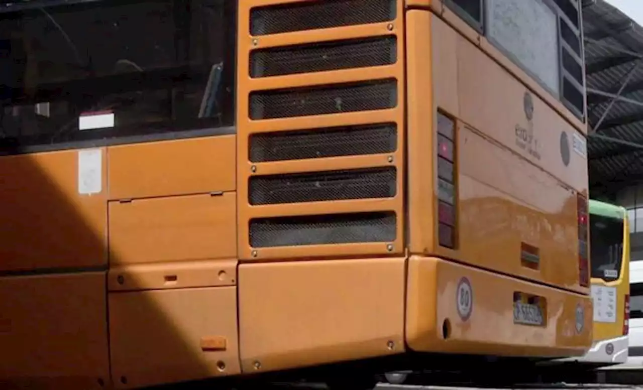 Toscana, autobus esce di strada: 19 studenti feriti. Grave l'autista