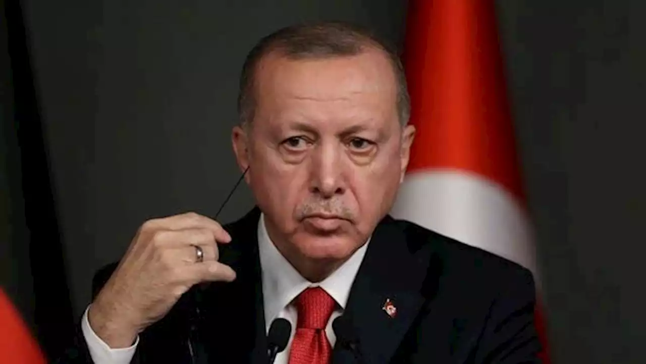 اردوغان: گفتمان مخالفان «نژادپرستانه و تحریک‌آمیز» است