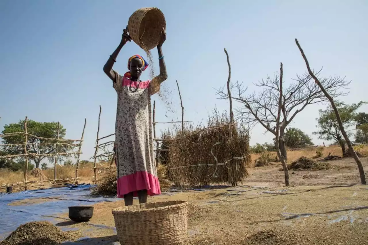 40 % من سكان السودان معرضون للجوع