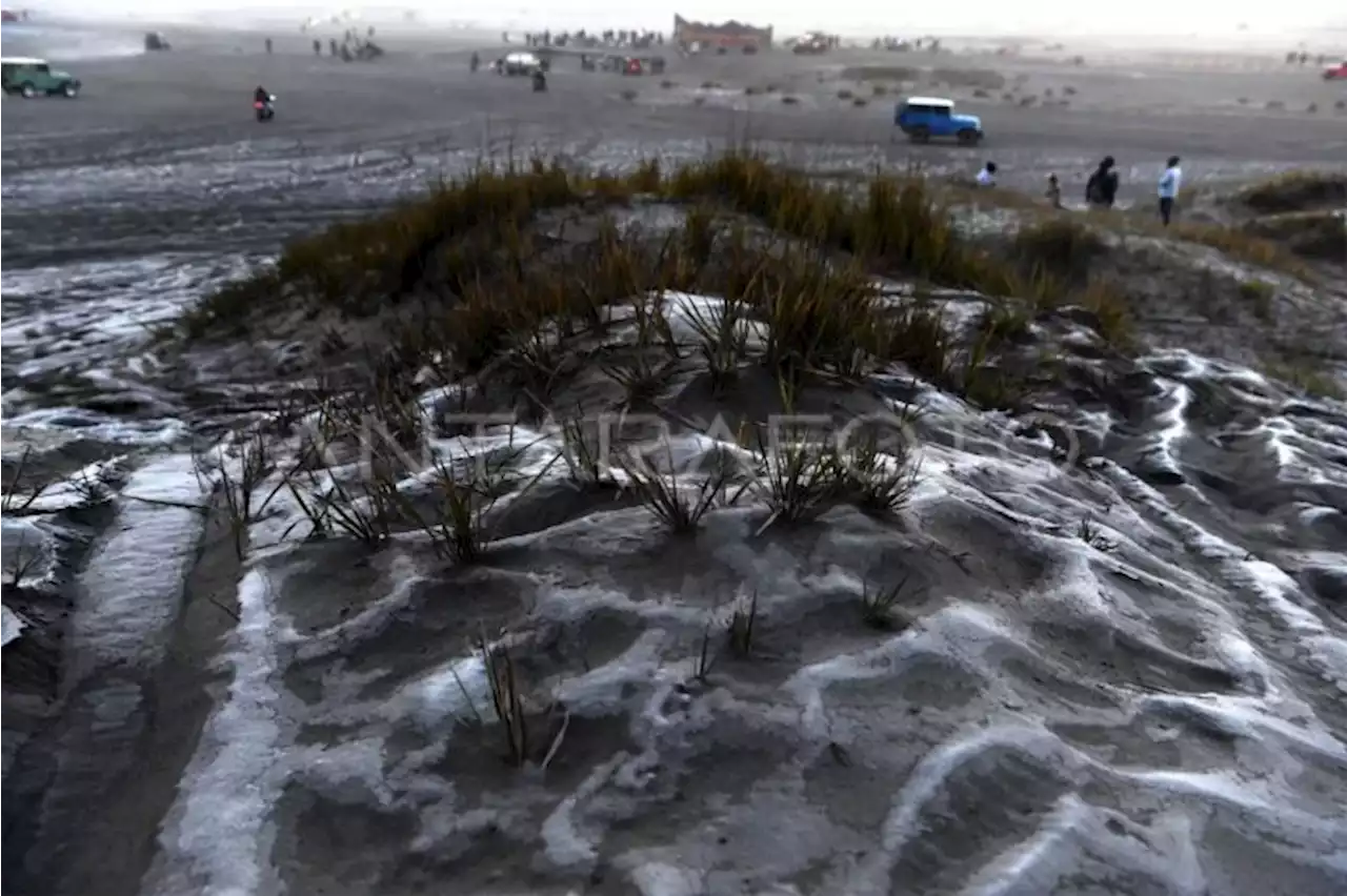 Fenomena embun upas muncul di kawasan Gunung Bromo Jatim