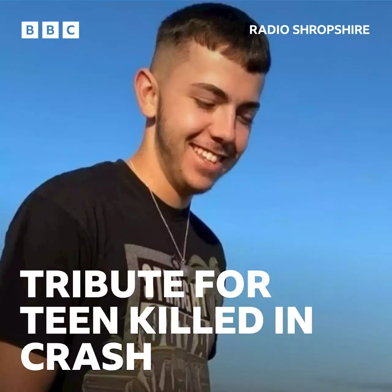 Teenage passenger killed in Shifnal fence crash