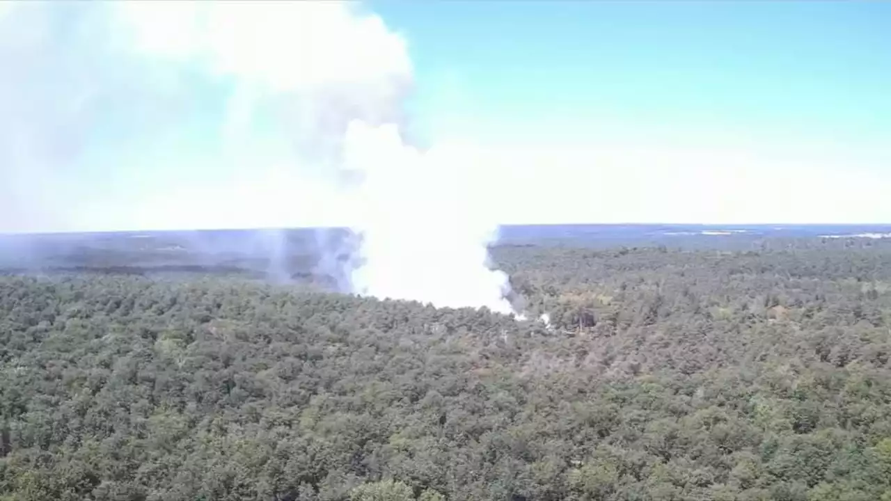 Incendie en forêt de Fontainebleau: 200 actions de prévention effectuées avant le début de l'été