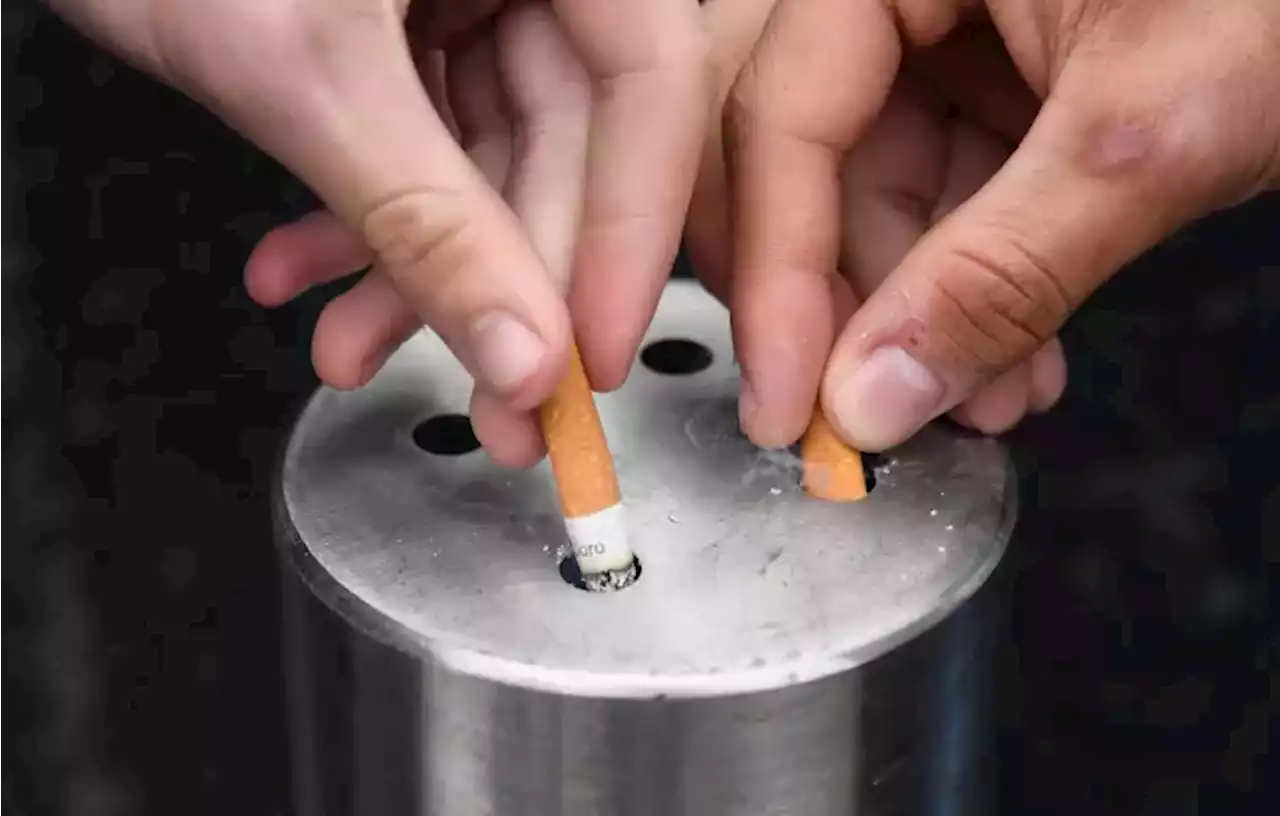 Journ\u00e9e mondiale sans tabac : l'industrie de la cigarette continue de brasser les milliards