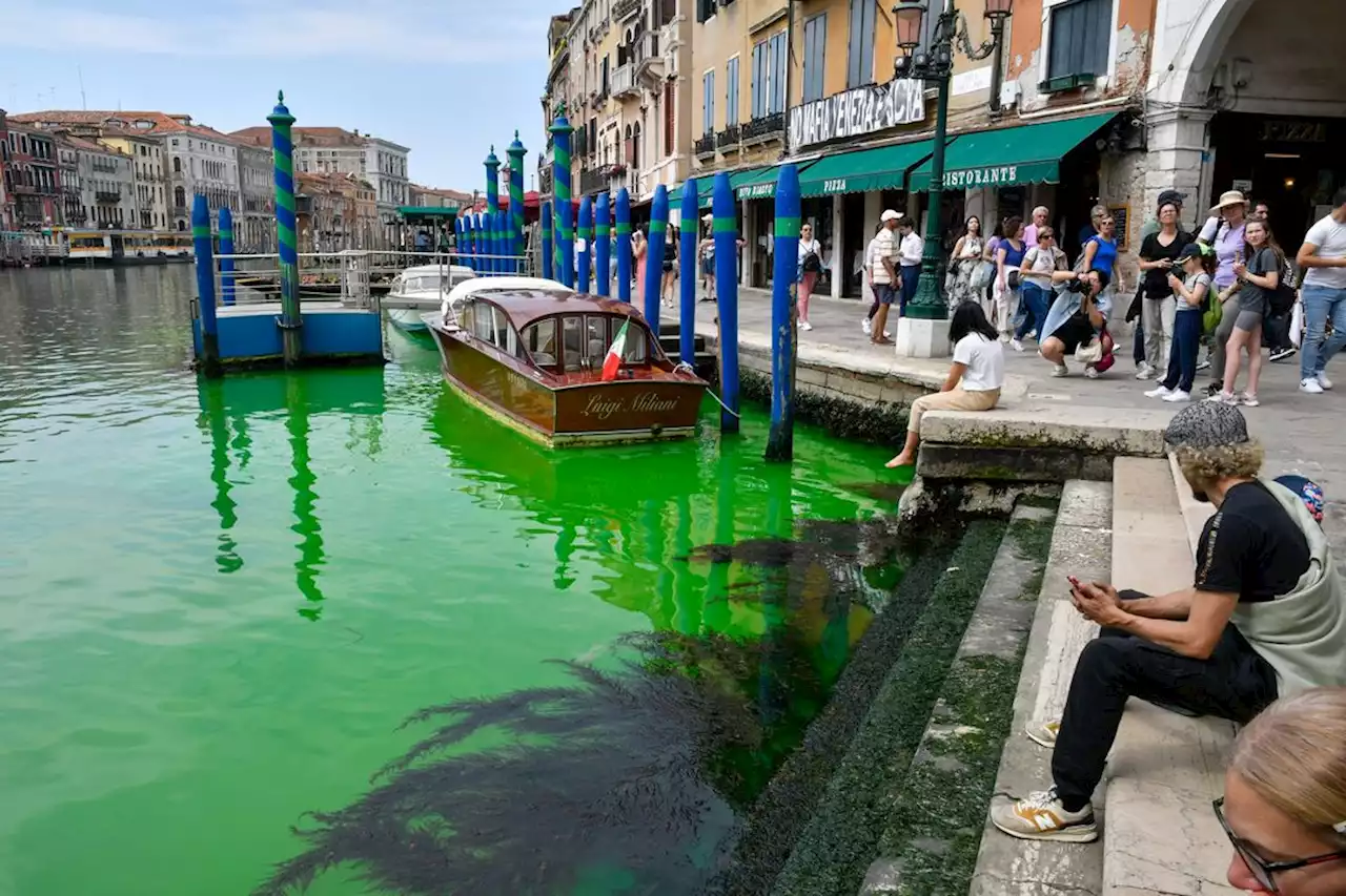 Rätsel um grün verfärbten Canal Grande in Venedig geklärt