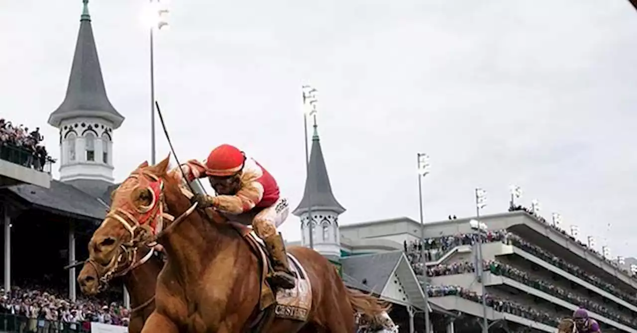 Twelfth Horse Dies at Churchill Downs as Leaders Seek Answers