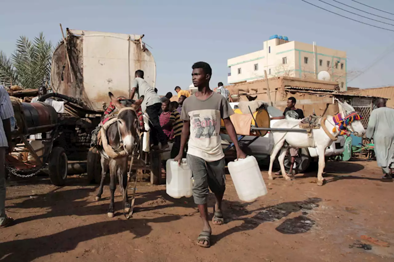 UN agencies warn of starvation risk in Sudan, Haiti, Burkina Faso and Mali, call for urgent aid | The Associated Press