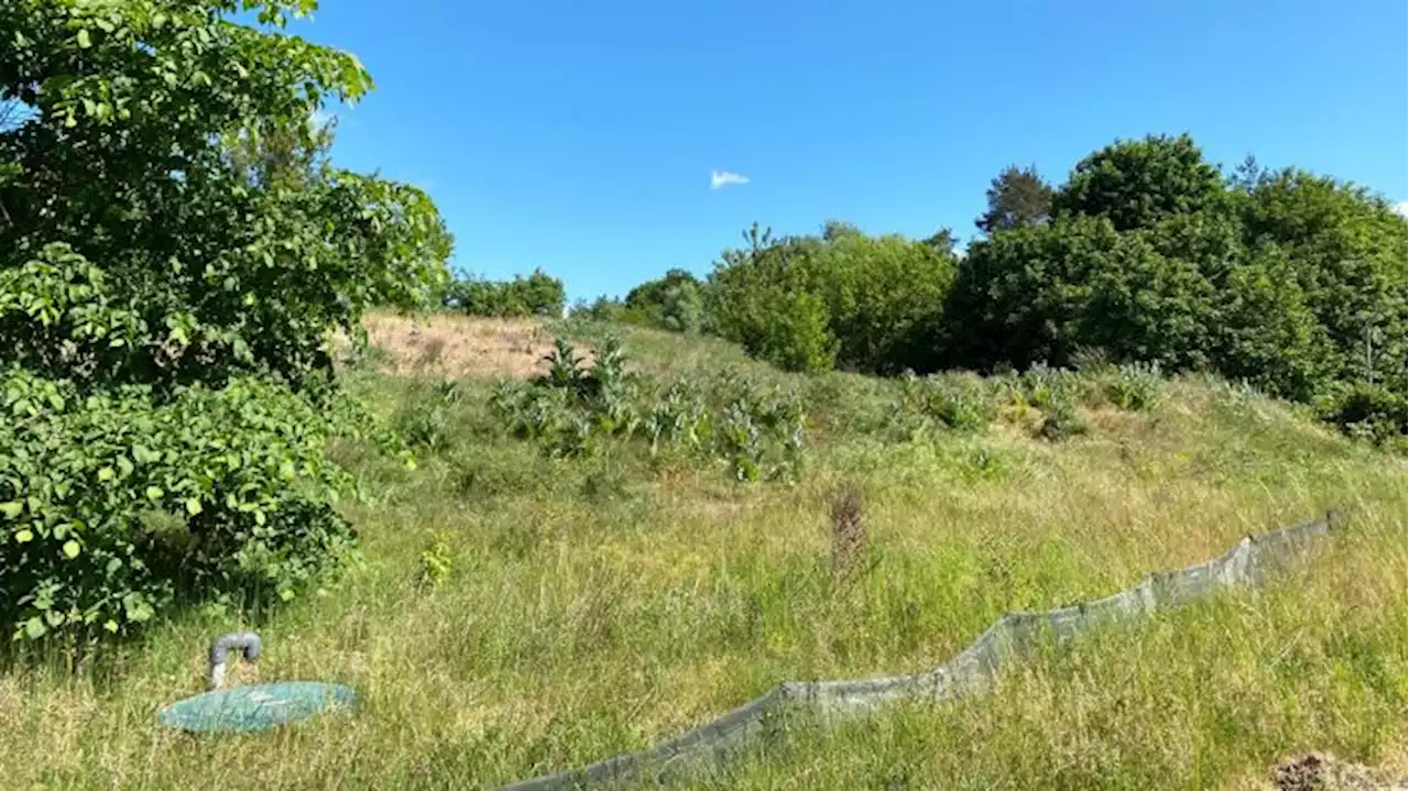 Bund fördert Sanierung der Mülldeponie Wittstock-Scharfenberg