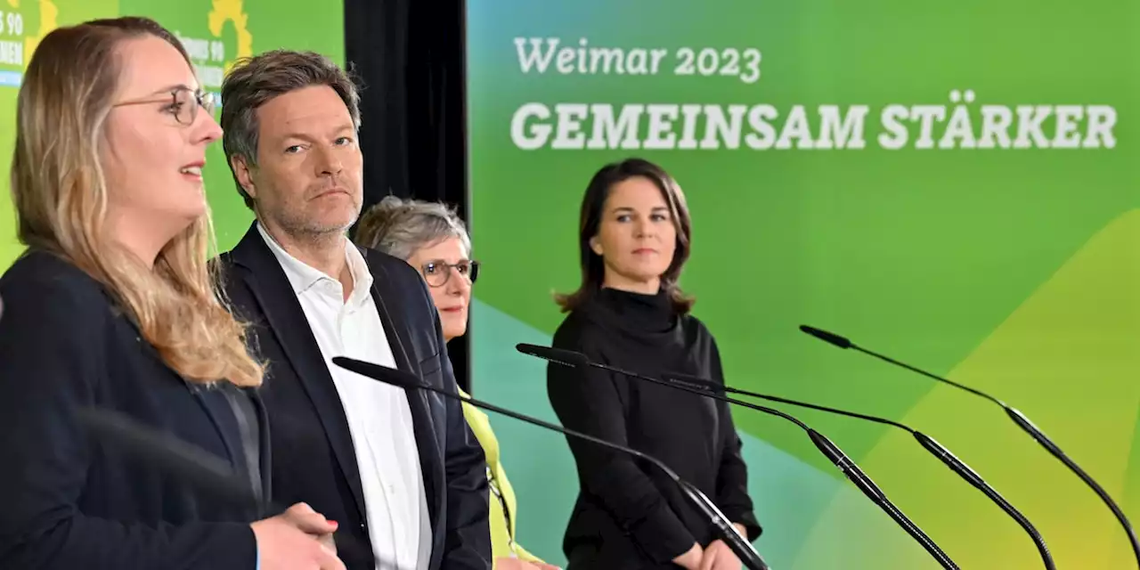 Naive Grüne ignorieren bei der Wärmewende die menschlichen Urinstinkte