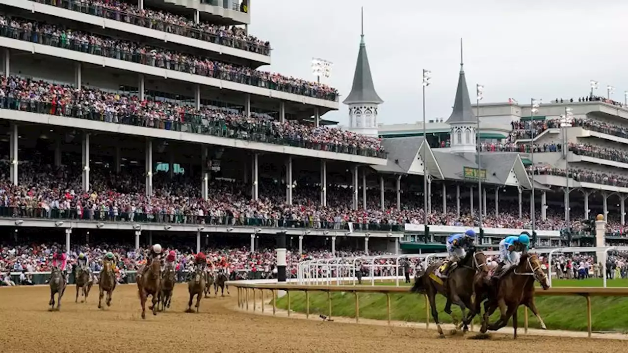 Horse racing regulatory officials call 'emergency summit' following 12 horse deaths at Churchill Downs | CNN