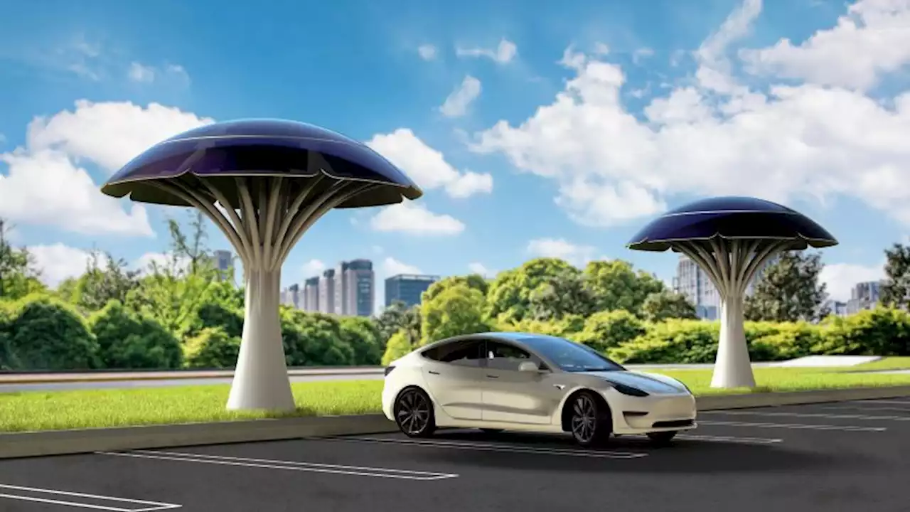 Solar trees could soon be charging your car | CNN