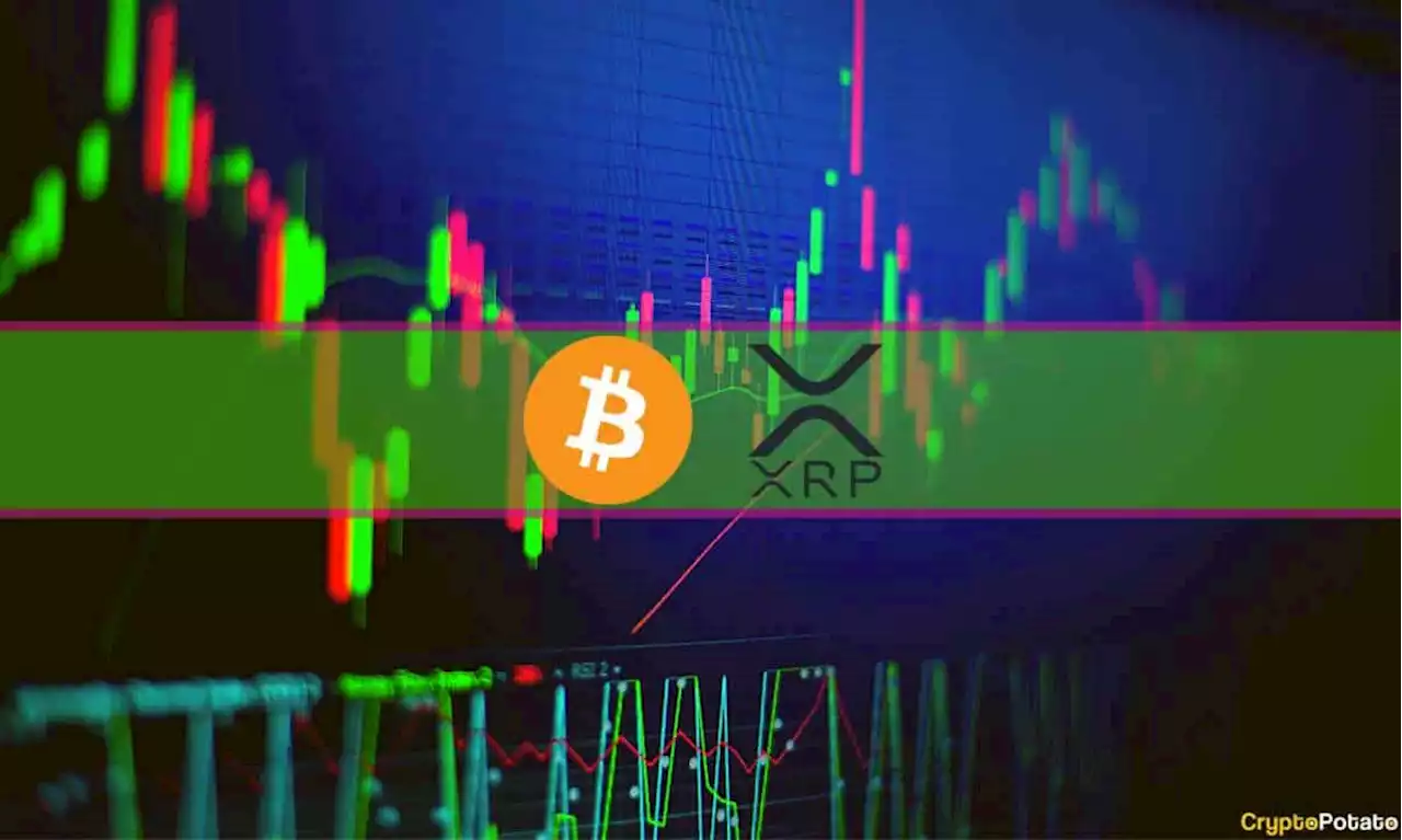 Ripple (XRP) Soars 5% Daily, Bitcoin (BTC) Loses $28K (Market Watch)