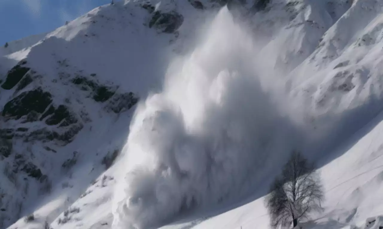 Avalanche: What a new update will mean for AVAX